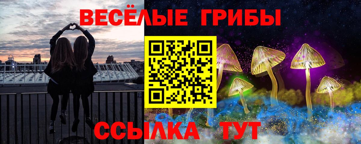 Галлюциногенные грибы Psilocybine cubensis Канаш