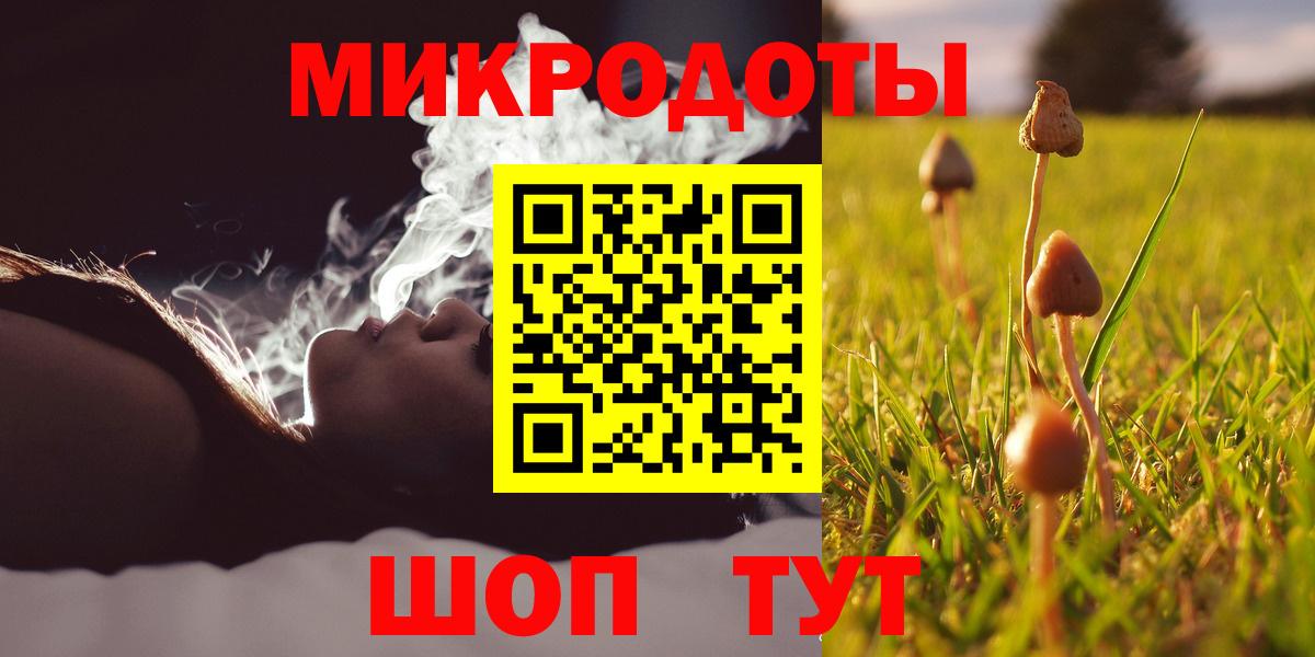 Канаш  Галлюциногенные грибы Psilocybe  Вход с VPN 